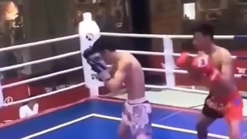 Boxer Hits referee instead