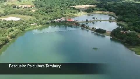 THE GABIIS PESCARIA - O MAIOR PEIXE DE COURO DOS PESQUEIROS ESTÁ AQUI