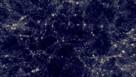 Large Scale Structure of the Universe