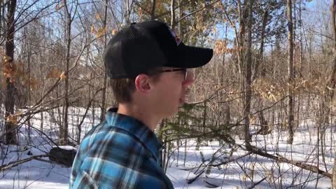 TIME TO TAP THE MAPLES - Drilling and tapping trees for Maple Syrup