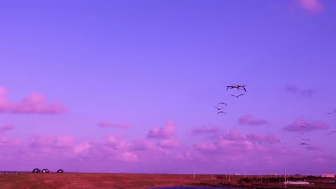 Beauty Of Nature Drone View Colors of Nature