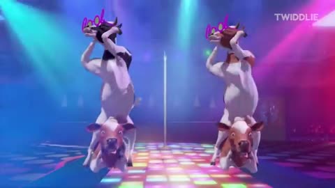 FUNNY COW DANCE