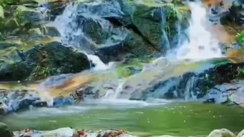 Primitive forest waterfall stream fairyland on earth