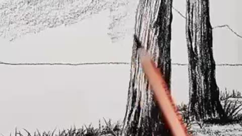 Exquisite, how to draw a tree easily