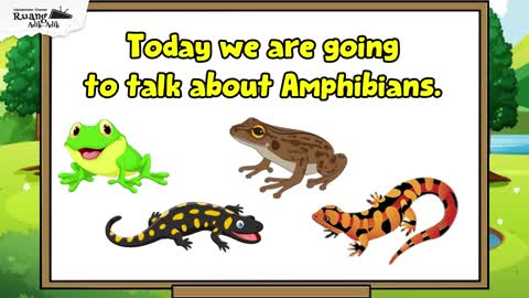 All About Amphibians - Learning Videos for Kids (Untuk PAUD dan TK) #englishforkids