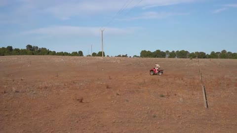 A day in the life of an Australian