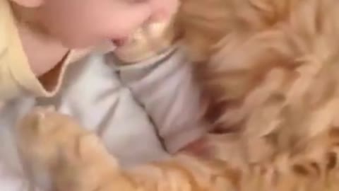 CUTE BABY meets his CAT for the FIRST TIME