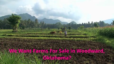 Smith & Co Auction & Realty, Inc. - #1 Farms For Sale in Woodward, Oklahoma