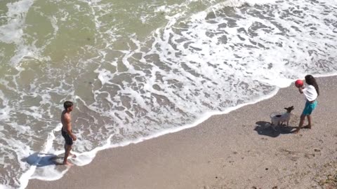 Dog In Play with Human In beach Enjoying #viral #videos #foryoupage