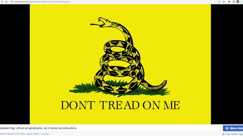 Gadsden Flag meaning and symbolism