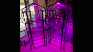 part 2 adding grow lights to the 4 Tier green house