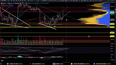 📢AirTor Protocol: FOMO or Wait?! [prediction, strategy, and analysis]👀 Buy ATOR now?