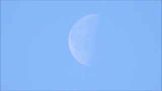 Morning Moon January 8th 2018