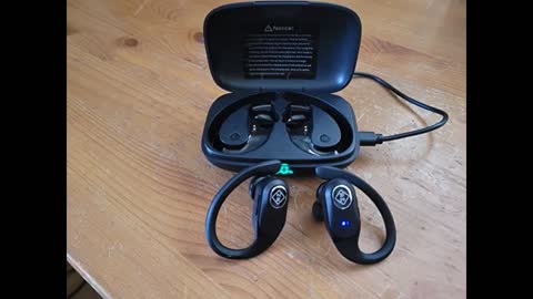 Review: RIZIZI Wireless Earbuds Bluetooth Headphones with Wireless Charging Case and LED Digita...