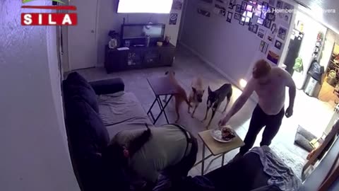 Wild moment drunk teen drives into family's living room