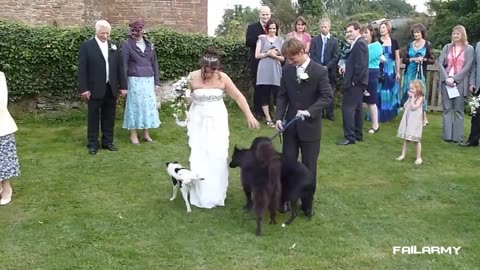 Wedding Fails Compilation