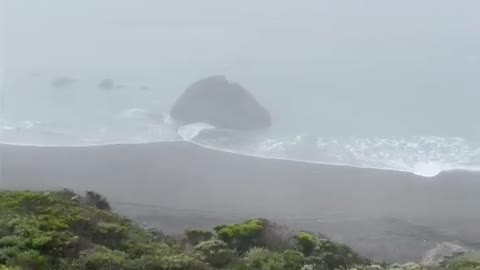 The continuous spring rain turns the earth green, and the soft spring wind warms the river