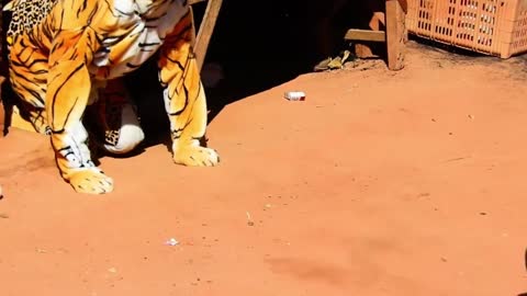 Wow!!! Fake Tiger Prank Dog No Run So Funny