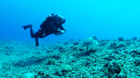 CCR Dive - Beautiful island of Guam