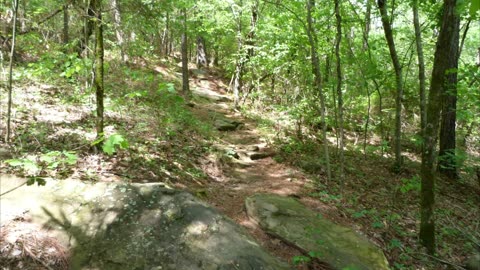 Moss Rock Preserve in February then April. Slideshow.