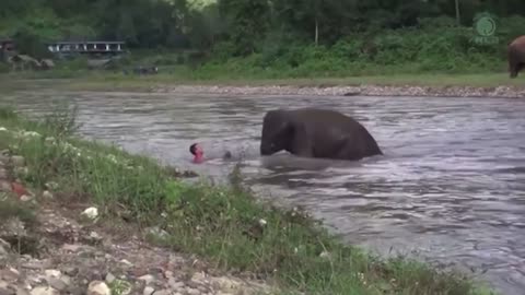 UNBELIEVABLE Elephant Attacks & Interactions CAUGHT ON CAMERA!