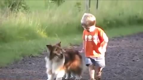 Adorable amistad entre bebe y su mascota