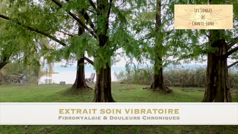 Extrait Soin Vibratoire - Fibromyalgie & Douleurs chroniques