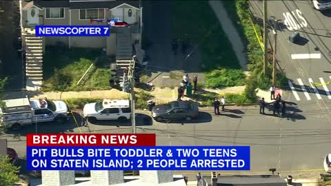 2 teens, toddler attacked by pit bulls on Staten Island