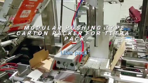 Modular pushing type carton packer for tetra pack #packaging#cartonpacker#foryou#machine