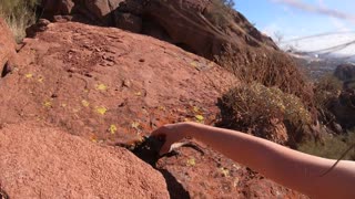 Girl meets lizard, strike up instant friendship.