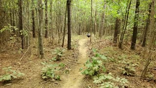 Racer Taken Out by Tree