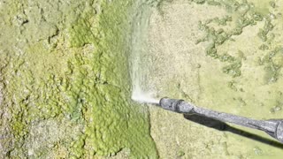 Pond cleaning.