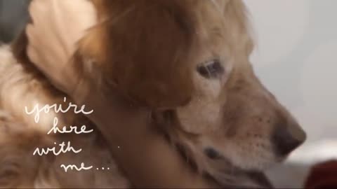 a girl made music video for her adopted dog