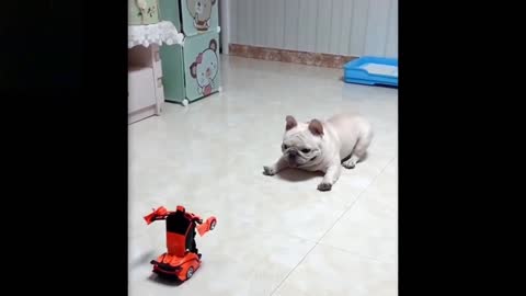 OMG 😱HE'S SO AFRAID OF THIS TOY