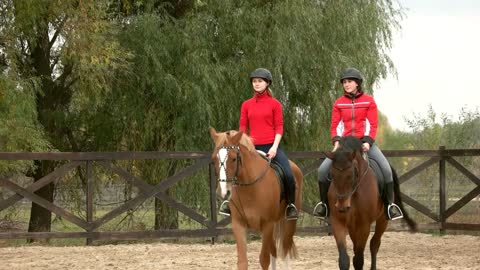 Two young women riding horses. Two girls equestrians in helmets riding horses on training ground