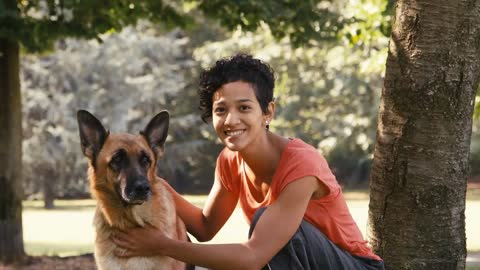 pets, dog sitter with alsatian dogs in park