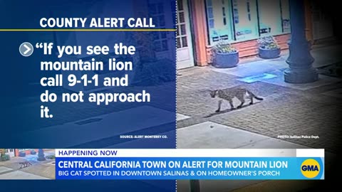 Central California town on alert for mountain lion