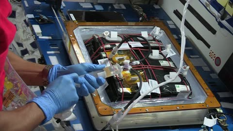 ISS Downlink Video: Acaba VEG-03 Experiment - Veggie