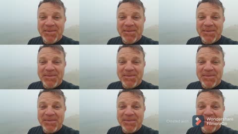 Beach Sounds, Fog, Pelican, 2 Seagulls and Charlie