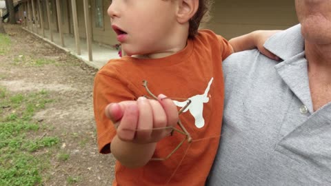 Walking stick and little boy.