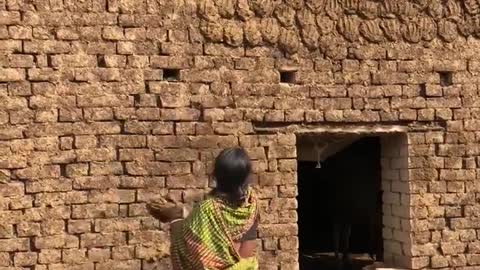 Woman has Incredible Aim with Dried Dung