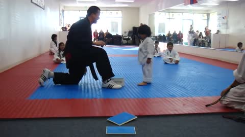 3-Year-Old Tries to Break Board in Taekwondo