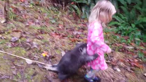 Child walking her pet porcupine.