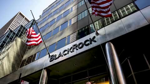 This company owns the world (and it's our fault) - BlackRock, by Sorelle Amore Finance, 2021-10-21