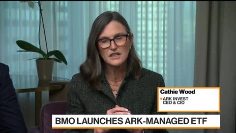 Cathie Wood Expects Shopify to Be 'Spectacular' Stock