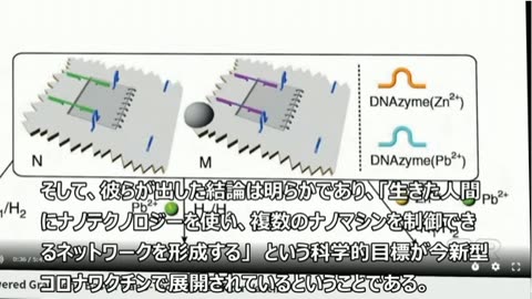 〝ワクチン〟中の酸化グラフェンと5Gの恐ろしい働き（インフォウォ－ズ）