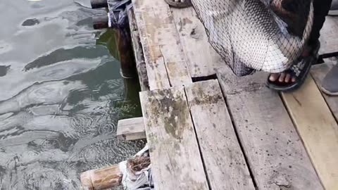 Fishing video