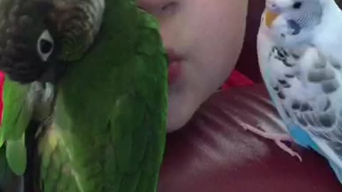 A boy and his birds