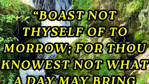 Boast not thyself of to morrow; for thou knowest not what a day may bring forth