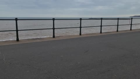 Black labrador eating ice-cream at the beach